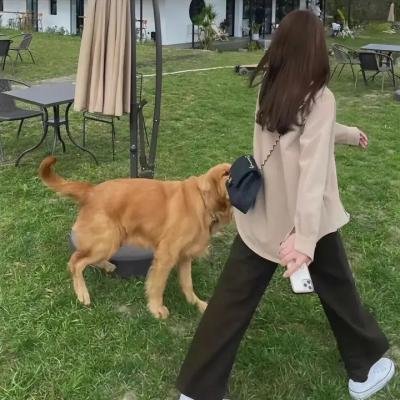 第237号房间